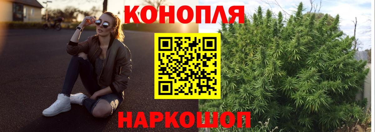 Конопля OG Kush Когалым